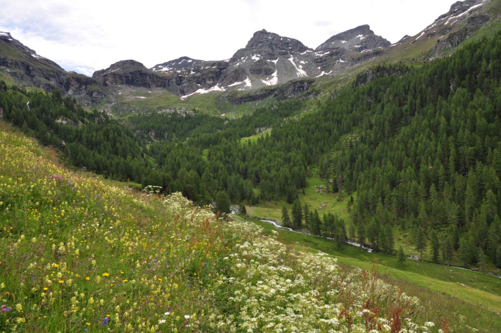 Champoluc
